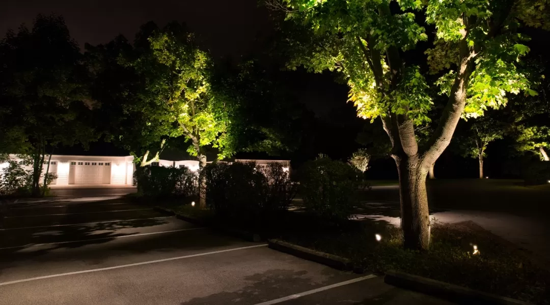 Landscape uplights in commercial parking lot, highlighting tree foliage and bark.